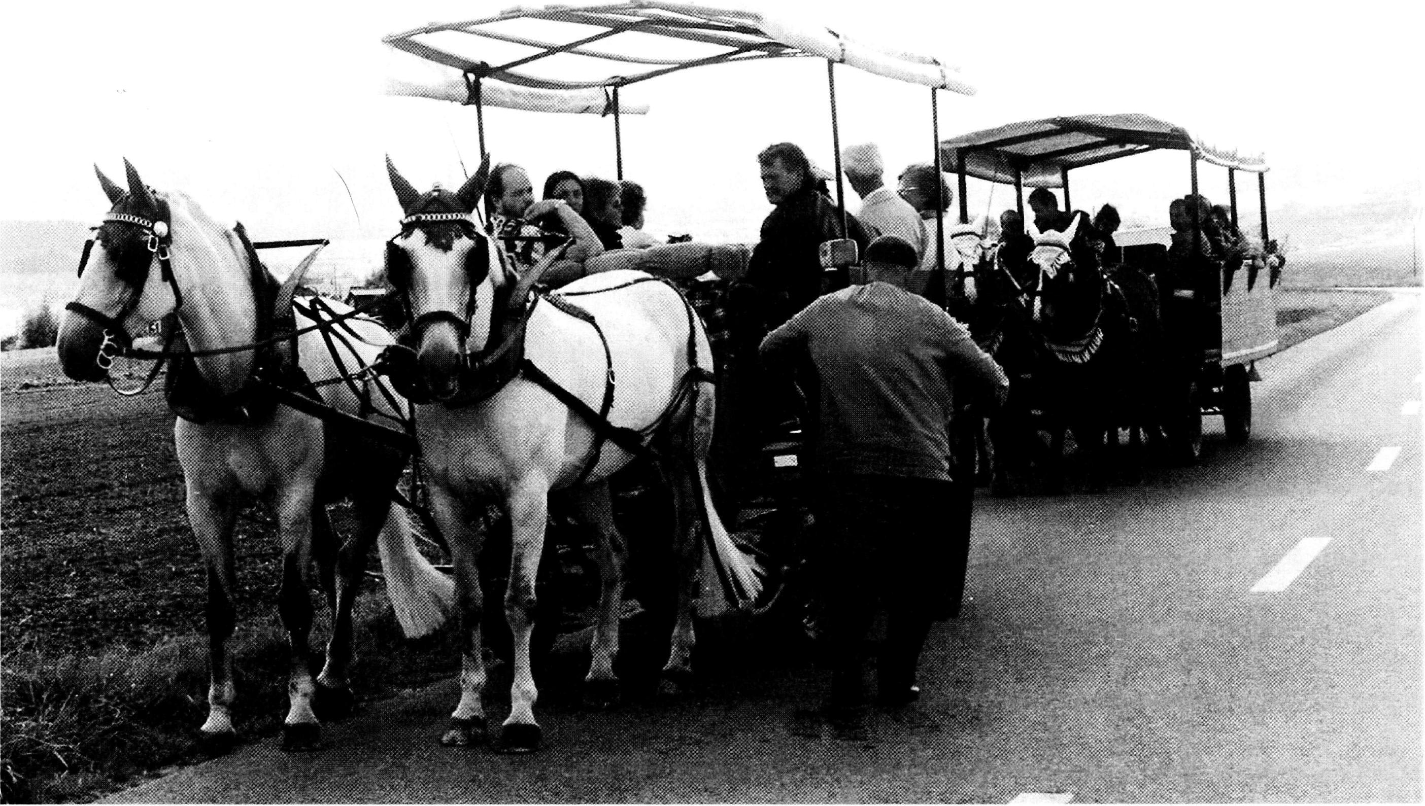 Rösslifahrt Hallau 1996